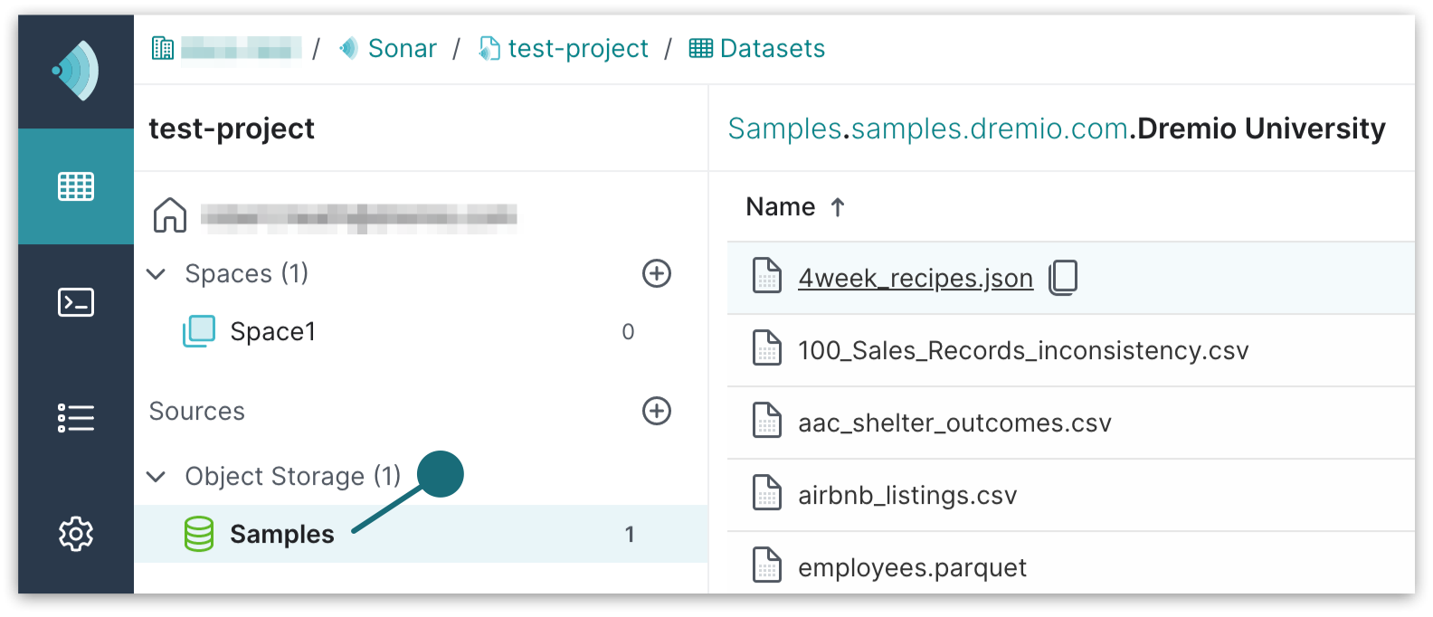 dbt samples path